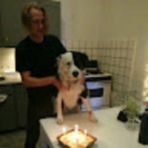 Meet your Posher, Todd